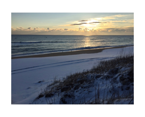 Yes Virginia, we do get snow! 2/2016